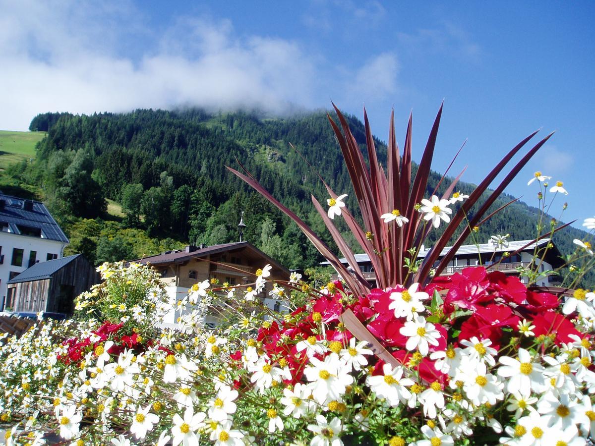 Am Zwoelferkogel Appartements Saalbach-Hinterglemm Exteriér fotografie