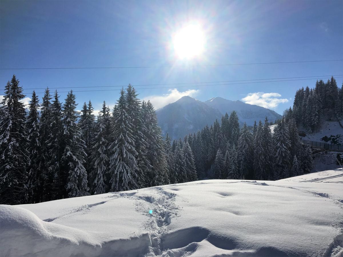 Am Zwoelferkogel Appartements Saalbach-Hinterglemm Exteriér fotografie