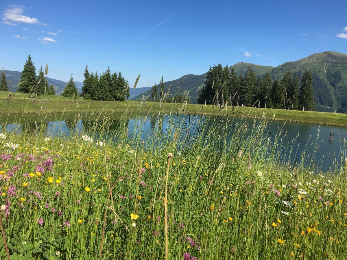 Am Zwoelferkogel Appartements Saalbach-Hinterglemm Exteriér fotografie